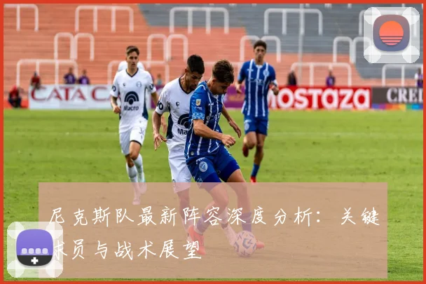 尼克斯队最新阵容深度分析：关键球员与战术展望