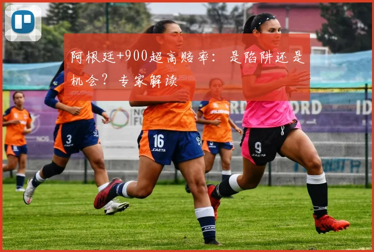 阿根廷+900超高赔率：是陷阱还是机会？专家解读